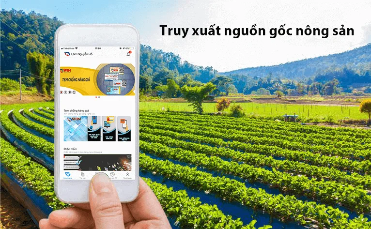 Truy xuất nguồn gốc nông sản