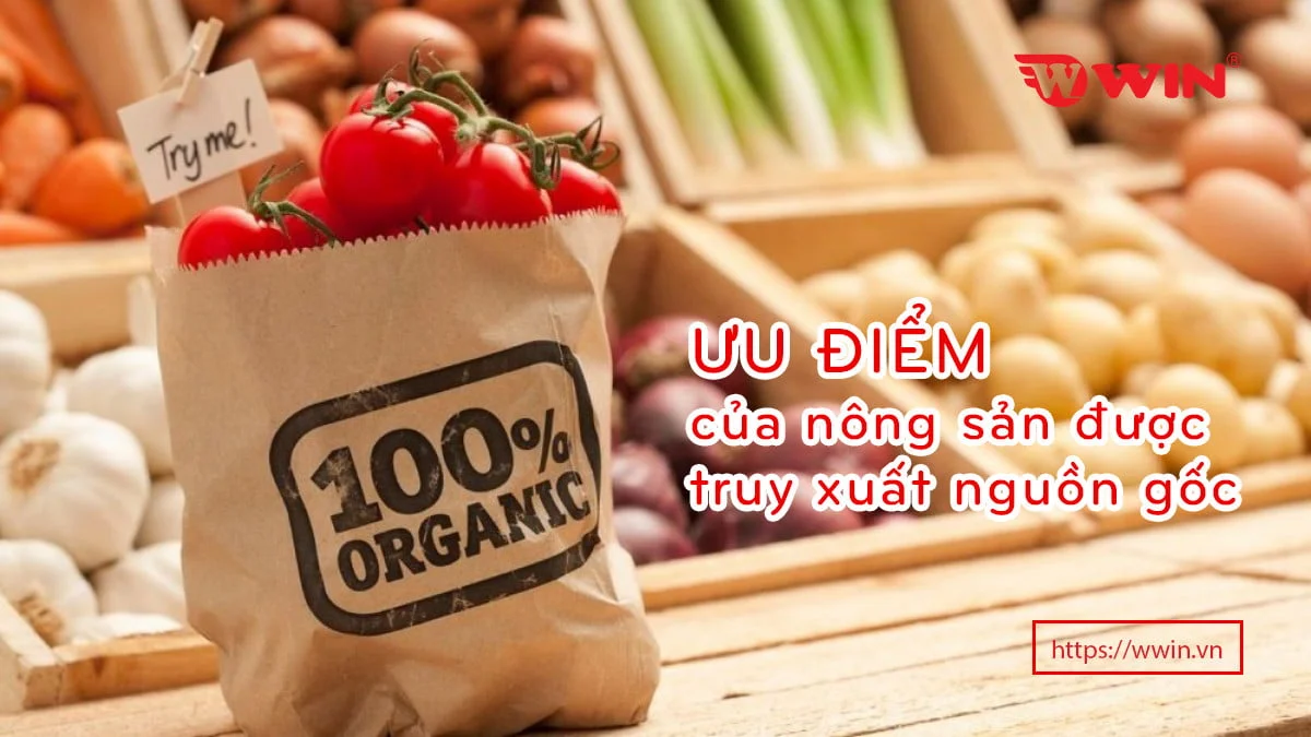 Ưu điểm của nông sản được truy xuất nguồn gốc