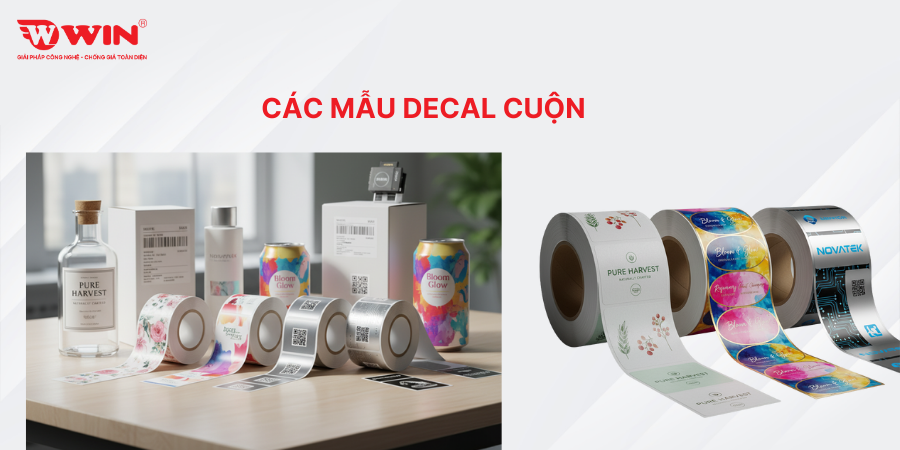 Các loại decal cuộn phổ biến