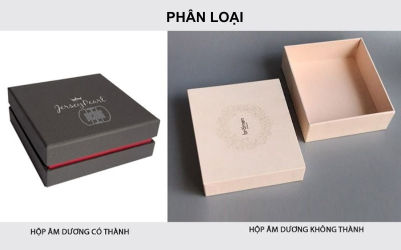 Phân loại hộp âm dương