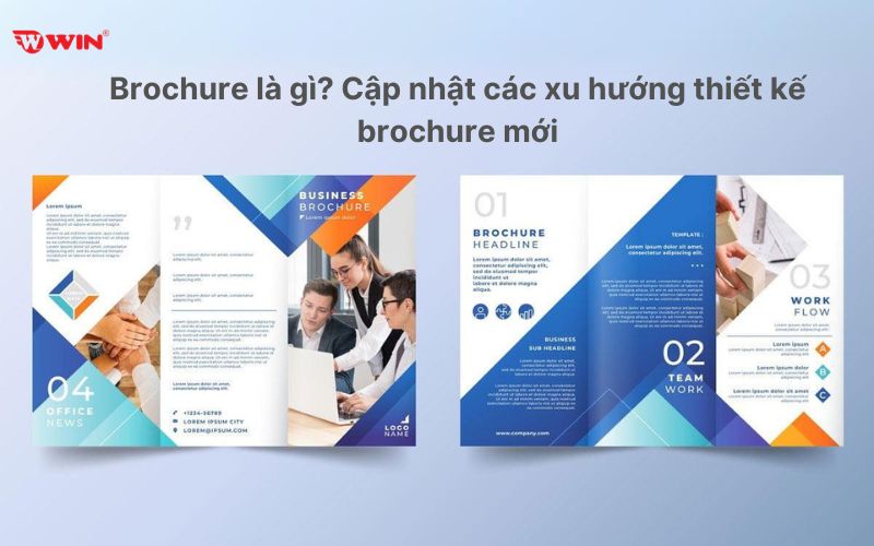 Brochure Image 1