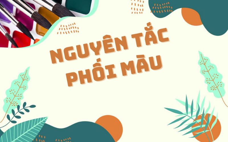 Nguyên tắc sử dụng màu sắc