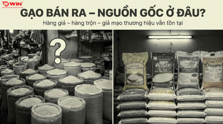 Giải pháp truy xuất nguồn gốc gạo cho doanh nghiệp