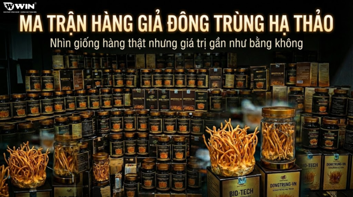 Tại sao Đông Trùng Hạ Thảo cần tem chống giả?