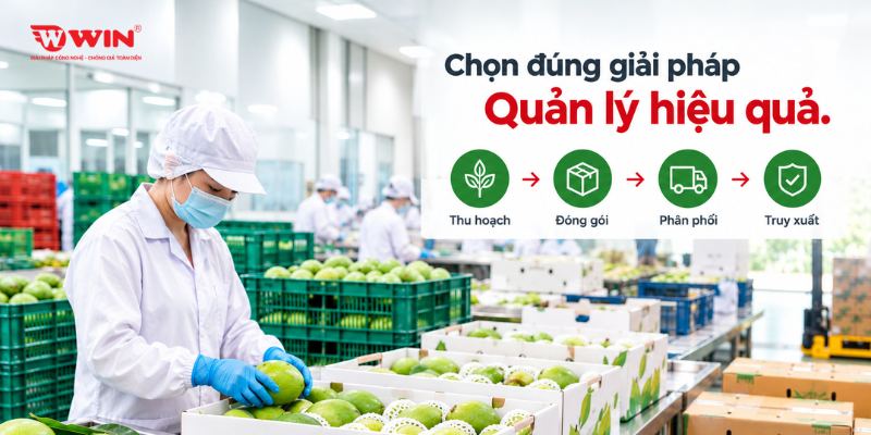 Cách lựa chọn tem phù hợp với từng mô hình kinh doanh